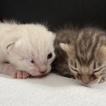 Portée Utopie ❤ You’Me 2025